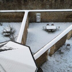 snow in gardens 3